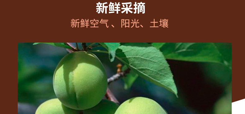 wepoker官网黑糖话梅糖